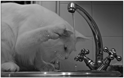 Apa de la robinet, filtrata sau imbuteliata – pe care sa o alegi?
