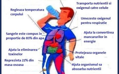 Cat de importanta este apa!!!!